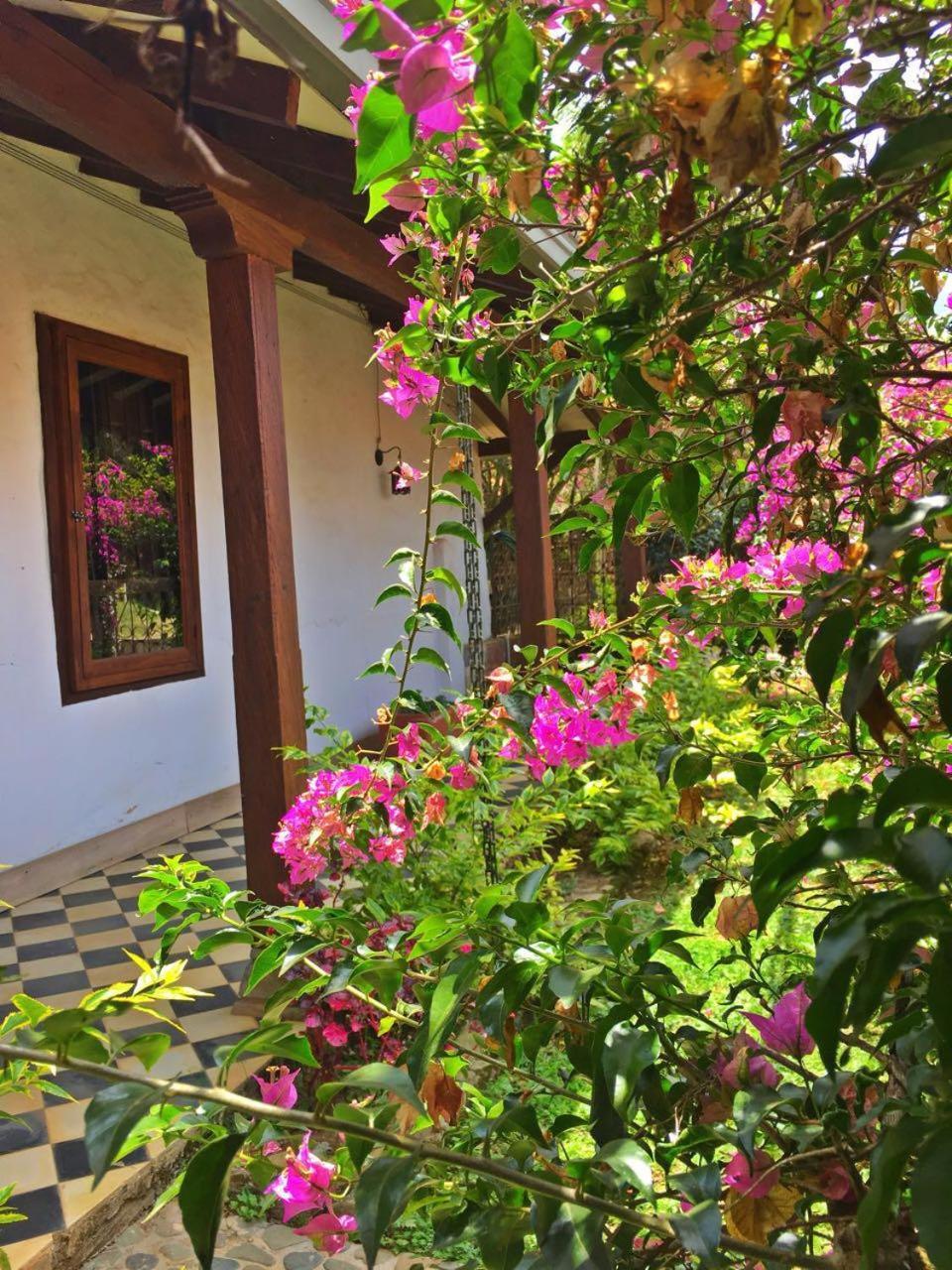 Casa Santamaria Hotel Campestre Jericoc  Esterno foto